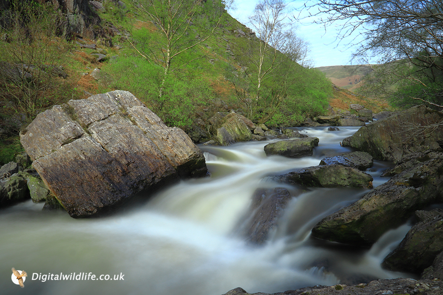 A slow exposure shot taken at RSPB Dinas mid-Wales  f22 - 1/30 with a neutral density filter 